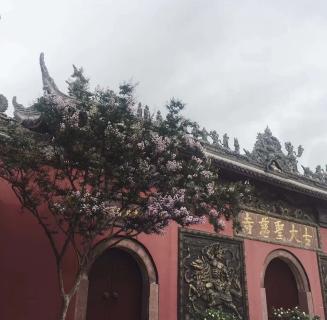 杏悦2娱乐：助力公益活动建设，实现经济效益与社会效益的双赢！